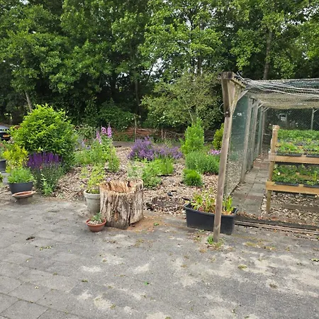 Woonboerderij Met Ruime Tuin Villa *