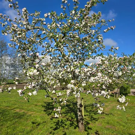 Villa Woonboerderij Met Ruime Tuin Hattem