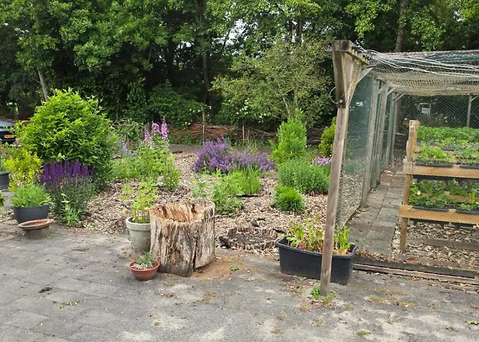 Woonboerderij Met Ruime Tuin Villa *