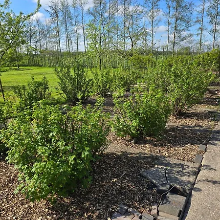 Woonboerderij Met Ruime Tuin *