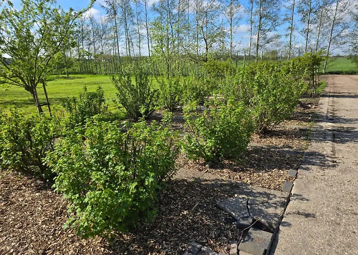 Woonboerderij Met Ruime Tuin *