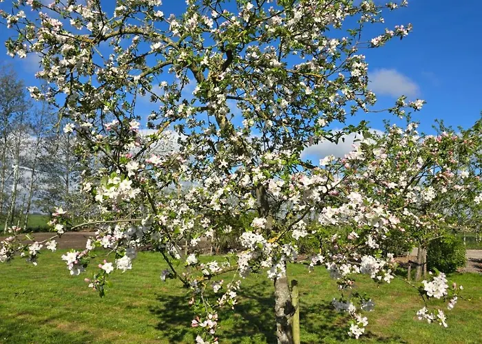 Villa Woonboerderij Met Ruime Tuin Hattem
